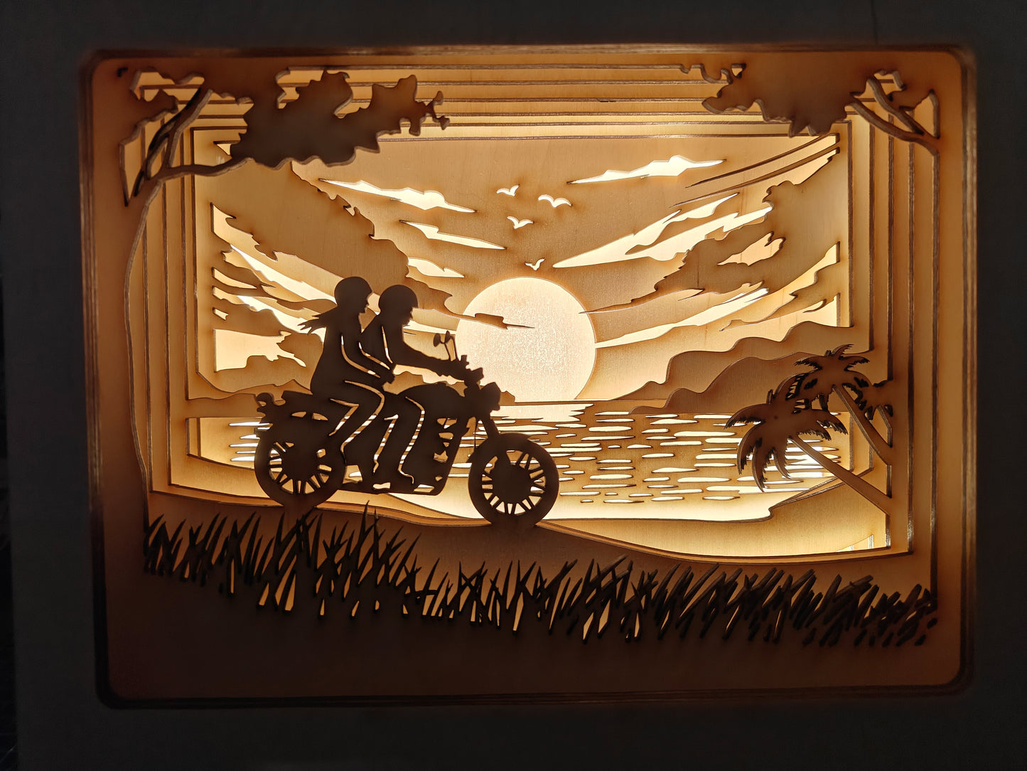 Light-Box Biker
